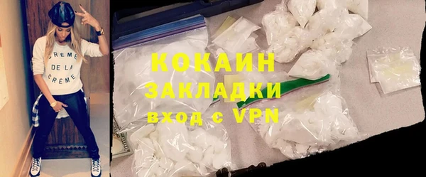индика Кулебаки