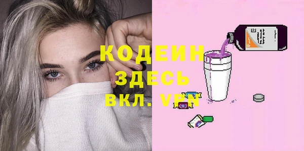 индика Кулебаки