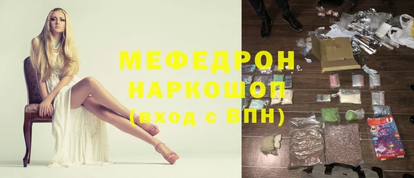 индика Кулебаки