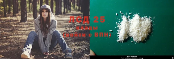 индика Кулебаки