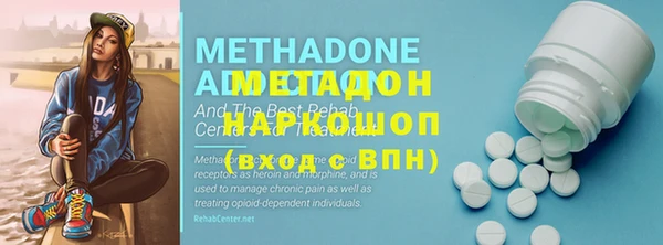 индика Кулебаки