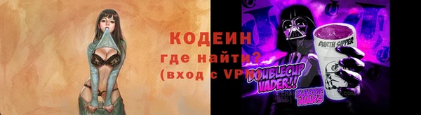 индика Кулебаки