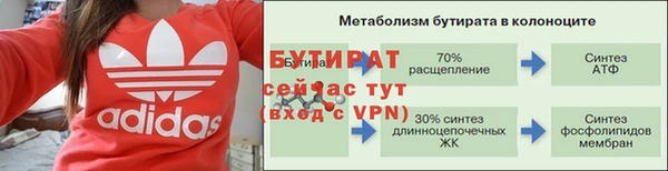 индика Кулебаки
