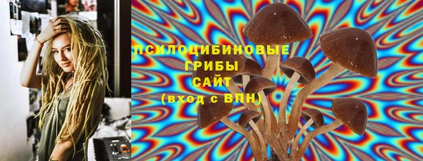 a pvp Кукмор