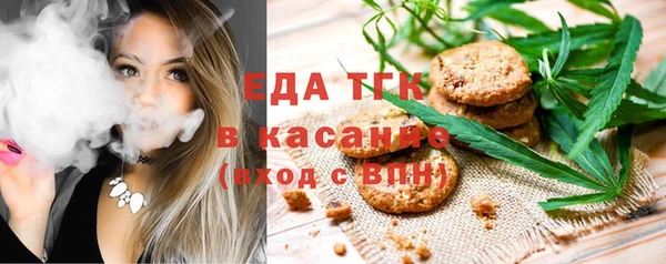 индика Кулебаки