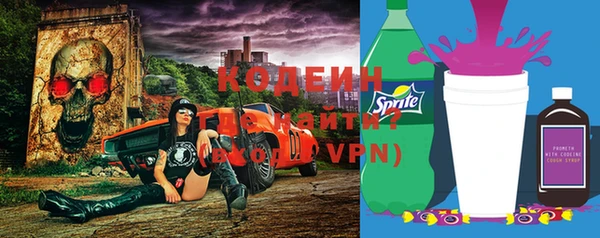 индика Кулебаки