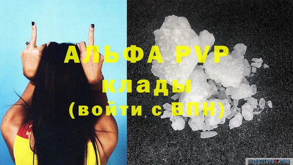 индика Кулебаки