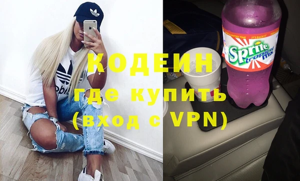 индика Кулебаки